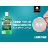 LISTERINE ® TOTAL CARE GREEN TEA MILDER TASTE MOUTHWASH 250 ML